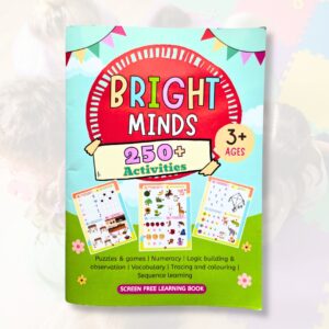 Bright Minds Activity Book